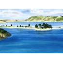 Otago Peninsula
