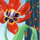 Tulip with Curtain